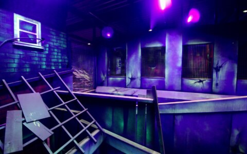 Image Not Found On Media Library